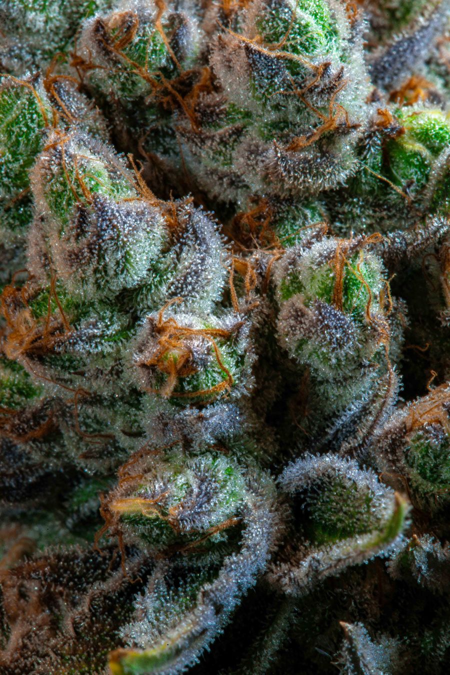 e-liquid