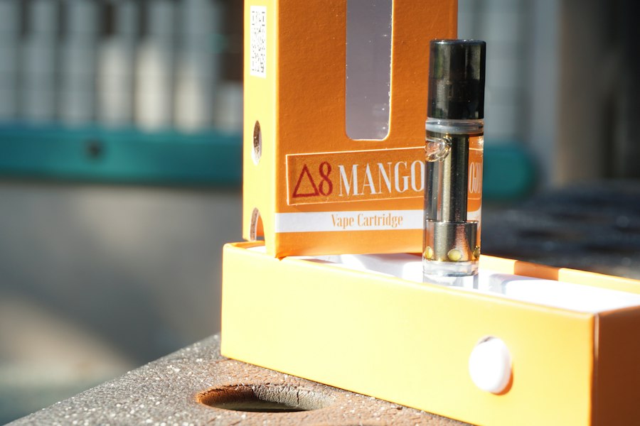 vape starter bundle